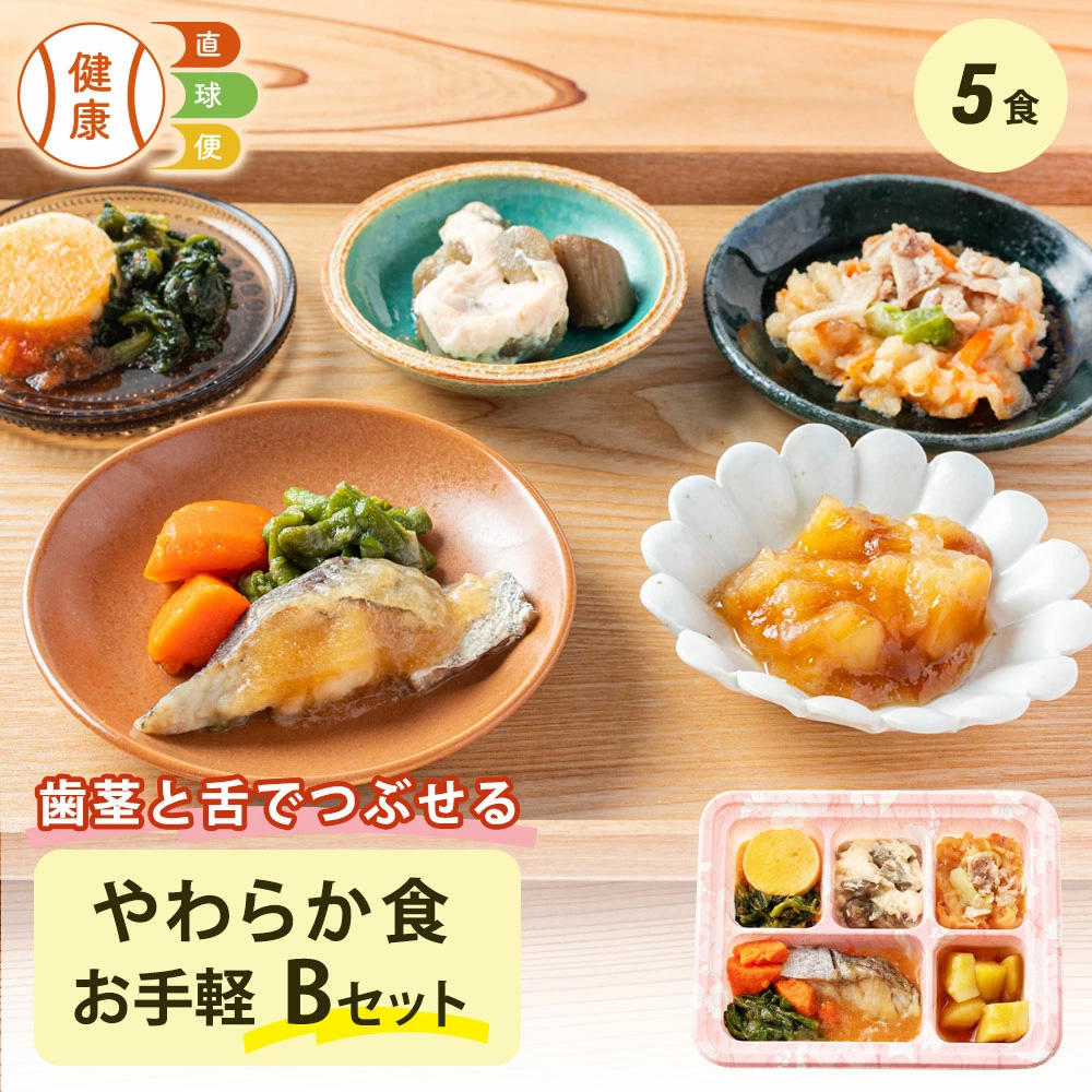 やわらか食お手軽Bセット 5食分